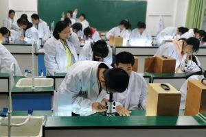 都江堰市領川實驗學校在什么地方