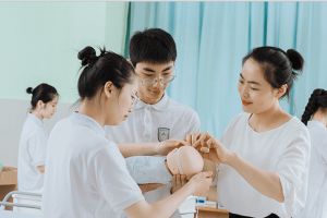 成都市現(xiàn)代職業(yè)技術學校就業(yè)怎么樣 各專業(yè)畢業(yè)去向