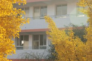 2022年四川省大邑中學招生簡章_錄取分數(shù)線介紹