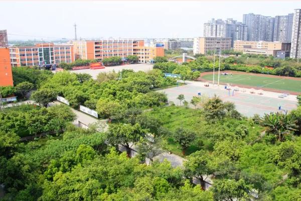 四川新華電腦學(xué)院招生簡(jiǎn)章
