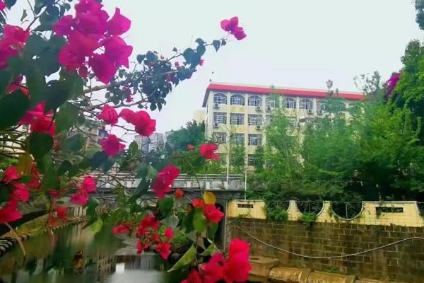 四川省安岳實驗中學(xué)好嗎