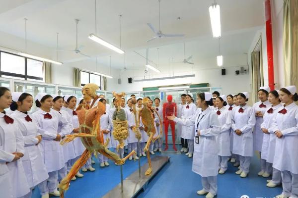 四川科技職業(yè)學院中專部招生專業(yè)