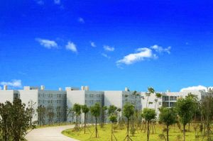 大邑職高2022年招生計劃
