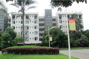 成都德圣中等職業(yè)學(xué)校2022年招生簡章招生專業(yè)