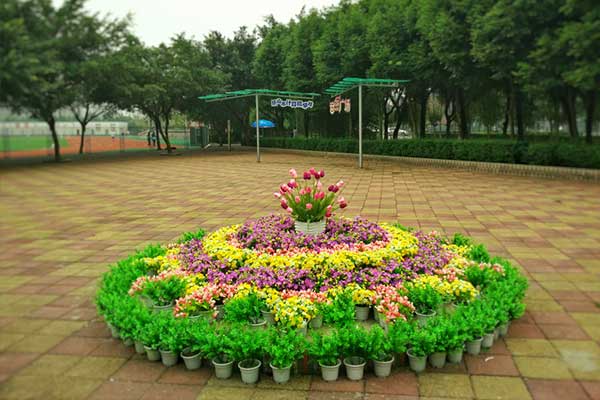 樂山計(jì)算機(jī)學(xué)校就業(yè)
