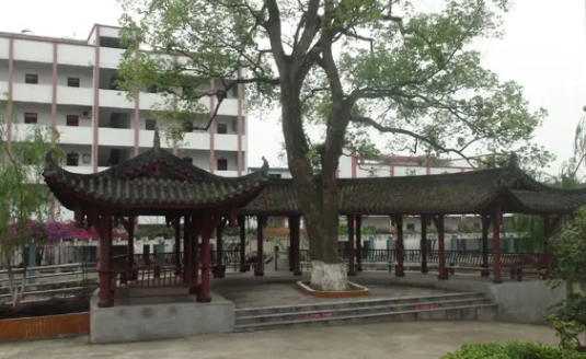 合江縣先市職業(yè)高級(jí)中學(xué)校