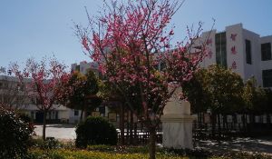 鹽源縣職業(yè)技術(shù)中學(xué)校交通方便嗎