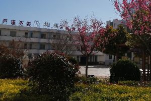 鹽源縣職業(yè)技術(shù)中學(xué)校就業(yè)好不好_就業(yè)方向有哪些