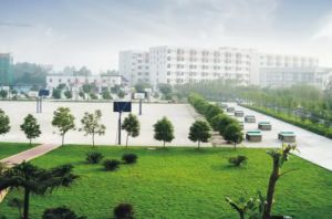 2022年四川省樂山市竹根職業(yè)中專學(xué)校升學(xué)渠道