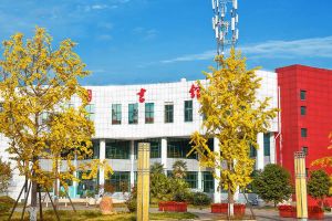 四川省食品藥品學校就業(yè)方向_就業(yè)前景介紹