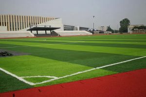 2022年樂山市欣欣藝術(shù)職業(yè)學(xué)校報(bào)考條件_報(bào)考要求介紹