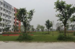 金堂中學是國重嗎 金堂中學怎么樣
