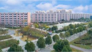 2022年龍泉驛區(qū)航空學(xué)校就業(yè)怎么樣呢