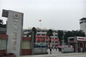 四川理工技師學(xué)院幼兒教育專業(yè)需要多少分
