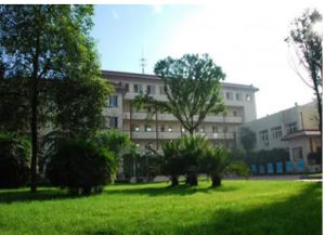 四川理工技師學院幼兒教育專業(yè)就業(yè)優(yōu)勢