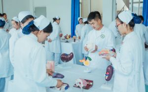 成都職業(yè)護士學(xué)校那個專業(yè)比較好