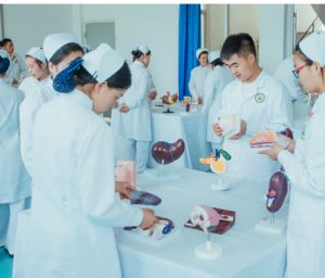 四川護理學(xué)校招生報名條件_報名方法