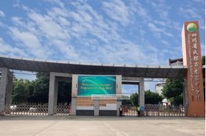 ?2022年成都龍泉中學中考錄取分數(shù)線是多少