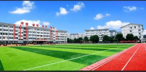 2022年樂山市計算機學校的錄取分數(shù)線是多少