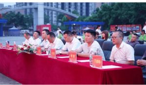 四川新華電腦學(xué)院是公辦的還是民辦