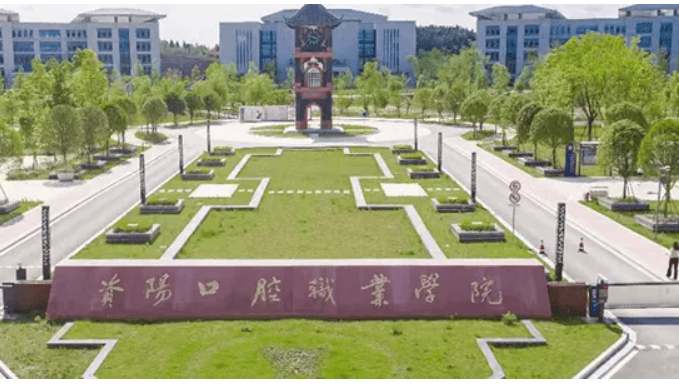資陽(yáng)口腔職業(yè)學(xué)院師資