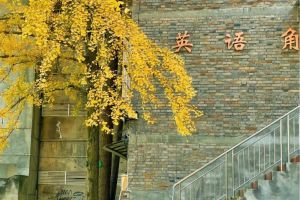 洪雅中學(xué)是國重嗎_洪雅中學(xué)錄取分數(shù)線多少