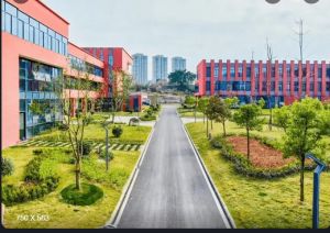 2023年四川科技學(xué)院招生要求是什么