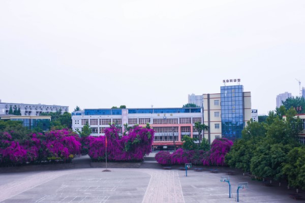 四川愛華學(xué)院
