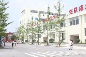 2023年成都新運(yùn)職業(yè)學(xué)校招生簡(jiǎn)章|招生條件|招生專業(yè)