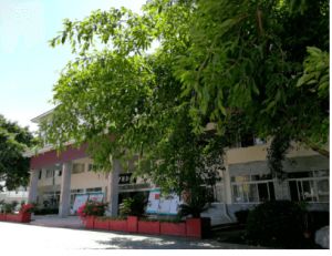 金堂縣淮口初中2023年錄取分?jǐn)?shù)線(xiàn)是多少_金堂縣淮口中學(xué)辦學(xué)條件如何