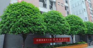 2023四川興科城市交通高級技工學(xué)校招生計劃_學(xué)?？诒脝? />              </div>
              <div   id=