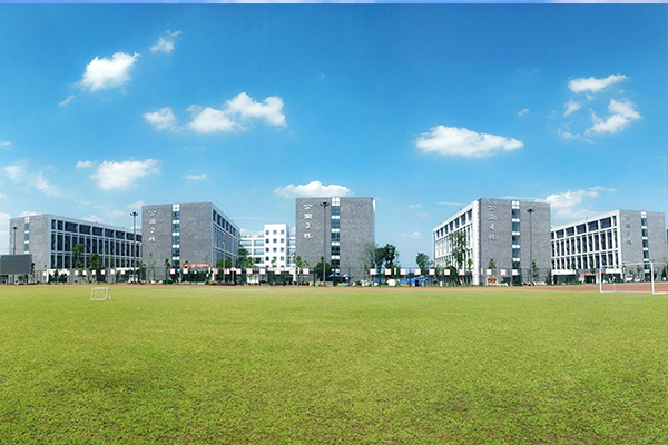 四川衛(wèi)生康復職業(yè)學院招生