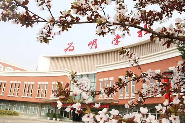 成都新津為明學(xué)校分數(shù)