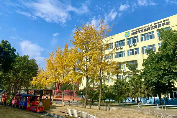 龍泉驛區(qū)青苗學校招生