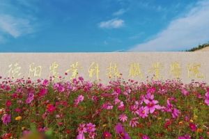 2024年德陽農(nóng)業(yè)科技職業(yè)學(xué)院開設(shè)專業(yè)_熱門專業(yè)介紹