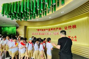 2024年天府新區(qū)麓山光亞學(xué)校招生簡章_招生計劃介紹
