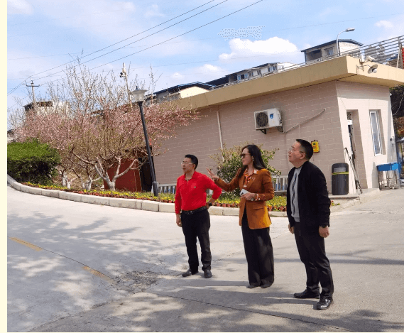 綿陽高新區(qū)實驗中學(xué)