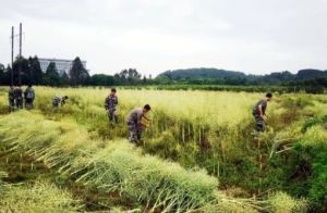 2024年樂山市知行旅游職業(yè)高中招生原則_招生地址