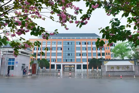 四川省成都市郫都區(qū)第三中學