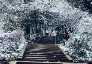 2025年成都佳興外國語學校升學率高嗎_升學率介紹