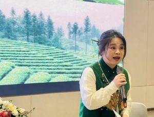 2025年新川外國語的口碑怎么樣_學校介紹