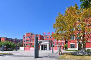 2025年成都川科外國語學(xué)校招生簡章收費標(biāo)準(zhǔn)
