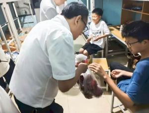2025年四川科華技工學(xué)校專業(yè)如何_專業(yè)介紹