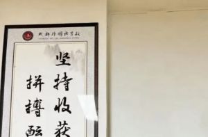 2026年成都外國(guó)語(yǔ)學(xué)校國(guó)際部怎么樣_好不好